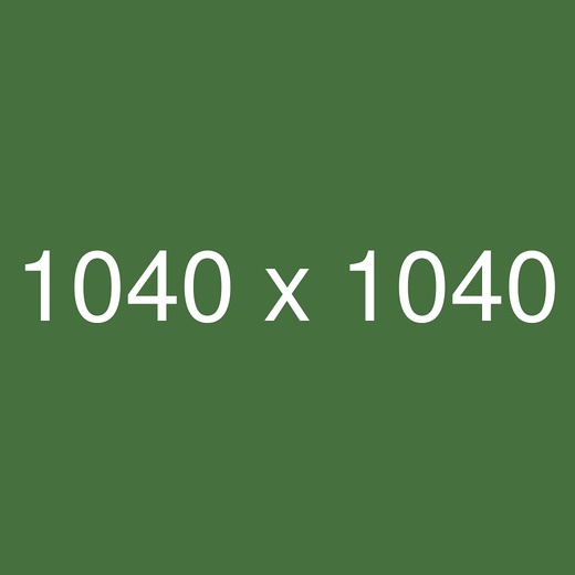 SALE お得に揃える 万能夏小物 6選